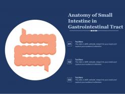 Anatomy of small intestine in gastrointestinal tract