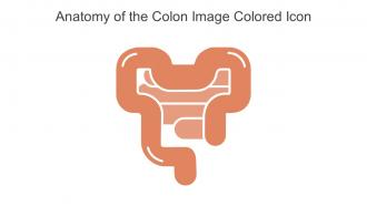 Anatomy Of The Colon Image Colored Icon In Powerpoint Pptx Png And Editable Eps Format