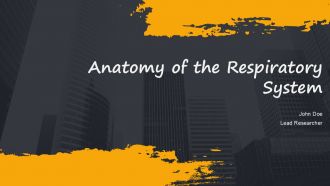 Anatomy Of The Respiratory System PPT Presentation AT