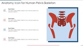 Anatomy Powerpoint Ppt Template Bundles
