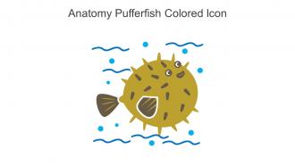 Anatomy Pufferfish Colored Icon In Powerpoint Pptx Png And Editable Eps Format