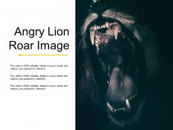 Angry lion roar image
