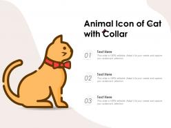 Animal icon of cat with collar