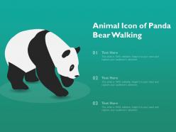 Animal icon of panda bear walking
