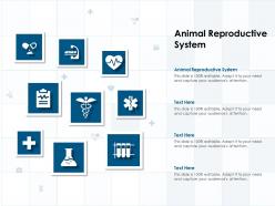 Animal reproductive system ppt powerpoint presentation ideas format ideas