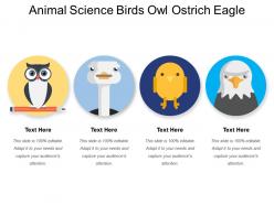 Animal science birds owl ostrich eagle
