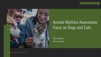 Animal Welfare Awareness Focus On Dogs And Cats PPT Slides AT