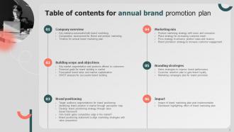 Annual Brand Promotion Plan Branding CD V Good Professionally