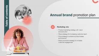 Annual Brand Promotion Plan Branding CD V Analytical Professionally