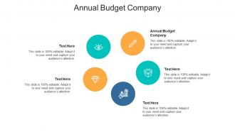Annual budget company ppt powerpoint presentation layouts display cpb