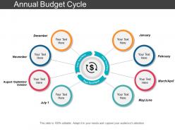 Annual budget cycle