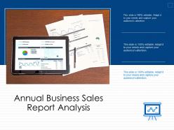 Annual business sales report analysis