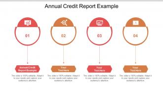 Annual credit report example ppt powerpoint presentation ideas gallery cpb