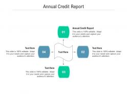 Annual credit report ppt powerpoint presentation slides ideas cpb