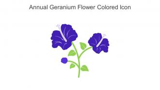 Annual Geranium Flower Colored Icon In Powerpoint Pptx Png And Editable Eps Format