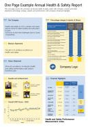 Annual health and safety report presentation example in one page infographic ppt pdf document