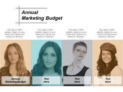 Annual marketing budget ppt powerpoint presentation gallery slide cpb
