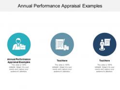Annual performance appraisal examples ppt powerpoint presentation file maker cpb