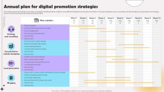 Annual Plan For Digital Promotion Strategies