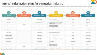 Annual Sales Action Plan For Cosmetics Industry