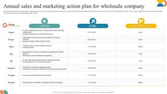 Annual Sales And Marketing Action Plan For Wholesale Company