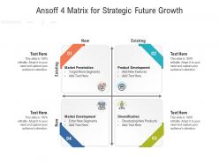 Ansoff 4 Matrix For Strategic Future Growth