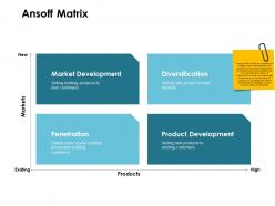 Ansoff matrix markets ppt powerpoint presentation outline mockup