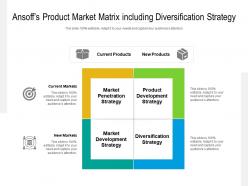 Ansoffs product market matrix including diversification strategy