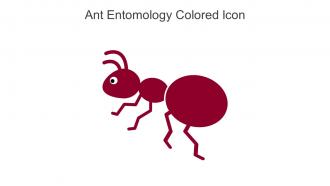 Ant Entomology Colored Icon In Powerpoint Pptx Png And Editable Eps Format