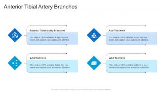 Anterior Tibial Artery Branches In Powerpoint And Google Slides Cpb
