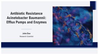 Antibiotic Resistance Acinetobacter Baumannii Efflux Pumps And Enzymes PPT Mockup AT