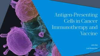 Antigen Presenting Cells In Cancer Immunotherapy And Vaccine PPT Example AT