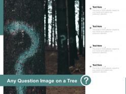 Any question image on a tree
