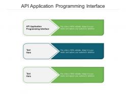 Api application programming interface ppt powerpoint presentation file background image cpb
