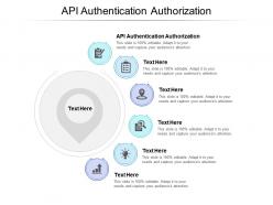 Api authentication authorization ppt powerpoint presentation slides infographics cpb