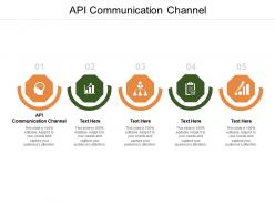 Api communication channel ppt presentation infographics layout ideas cpb