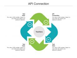 Api connection ppt powerpoint presentation icon brochure cpb