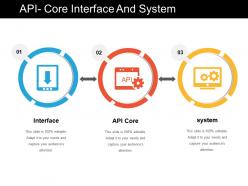 Api Core Interface And System