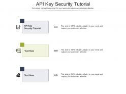 Api key security tutorial ppt powerpoint presentation slides vector cpb