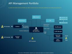 API Management Portfolio Ppt Powerpoint Presentation Icon Show