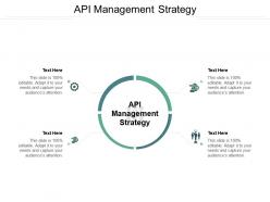 Api management strategy ppt powerpoint presentation portfolio grid cpb