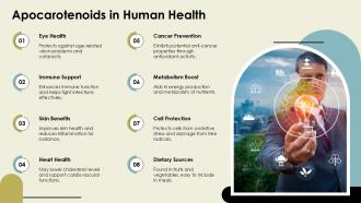 Apocarotenoids In Human Health PPT PowerPoint ST AI SS