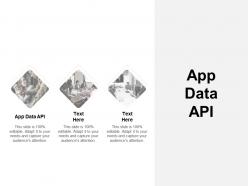 App data api ppt powerpoint presentation summary styles cpb