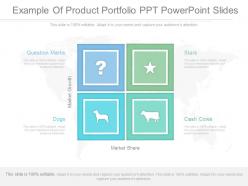 App example of product portfolio ppt powerpoint slides