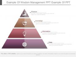 App example of wisdom management ppt example of ppt