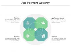 App payment gateway ppt powerpoint presentation summary microsoft cpb