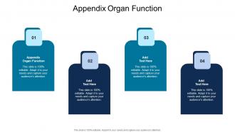 Appendix Organ Function In Powerpoint And Google Slides Cpb