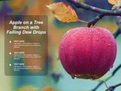 Apple on a tree branch with falling dew drops