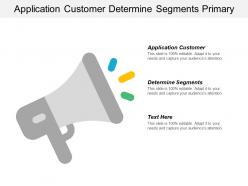 Application customer determine segments primary activities suggested concept cpb