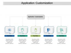 Application customization ppt powerpoint presentation styles graphics tutorials cpb